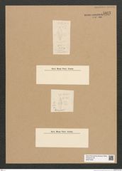 Diatomeae indet. Zeichnungen Sammlung Grunow Nr. 5817 (NHMW-BOT-W0374236)
